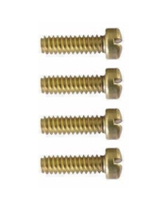 Screw (37010)