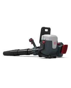 Ryggbåren løvblåser, Cramer 82BP1300